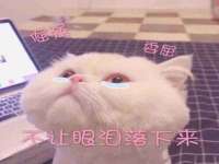 海口事玛广告有限公司
