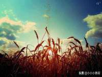 海口事玛广告有限公司