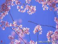 海口事玛广告有限公司