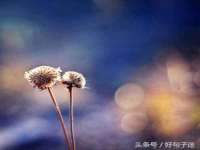 海口事玛广告有限公司