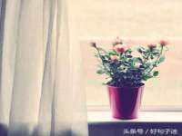 海口事玛广告有限公司