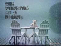 海口事玛广告有限公司