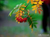 海口事玛广告有限公司