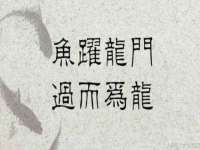 海口事玛广告有限公司