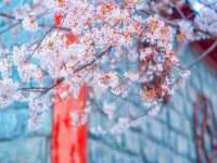 海口事玛广告有限公司