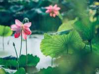 海口事玛广告有限公司