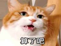 海口事玛广告有限公司