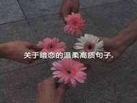 海口事玛广告有限公司