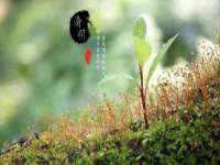 海口事玛广告有限公司