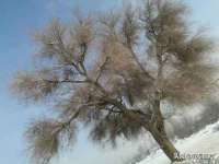 海口事玛广告有限公司