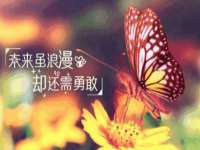海口事玛广告有限公司