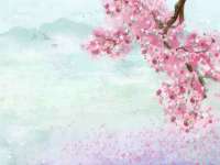 海口事玛广告有限公司