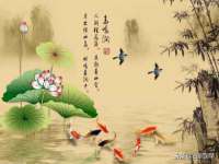 海口事玛广告有限公司