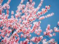 海口事玛广告有限公司