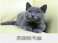 海口事玛广告有限公司