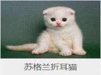 海口事玛广告有限公司