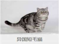 海口事玛广告有限公司
