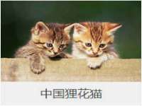 海口事玛广告有限公司
