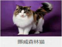 海口事玛广告有限公司