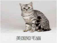海口事玛广告有限公司