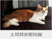 海口事玛广告有限公司