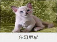 海口事玛广告有限公司