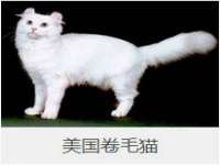 海口事玛广告有限公司