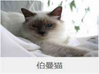 海口事玛广告有限公司