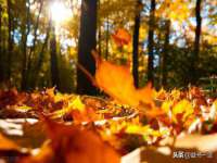 海口事玛广告有限公司