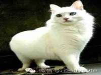 海口事玛广告有限公司