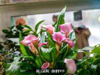 海口事玛广告有限公司