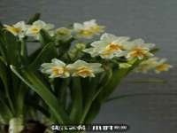 海口事玛广告有限公司