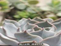 海口事玛广告有限公司