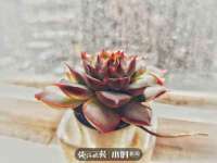 海口事玛广告有限公司
