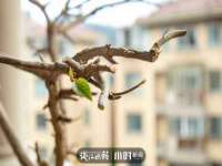 海口事玛广告有限公司