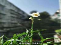 海口事玛广告有限公司