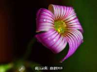 海口事玛广告有限公司