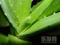 海口事玛广告有限公司