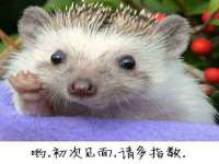 海口事玛广告有限公司