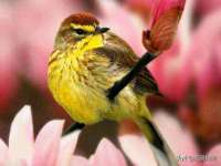 海口事玛广告有限公司