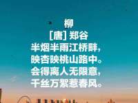 海口事玛广告有限公司
