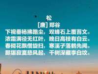 海口事玛广告有限公司