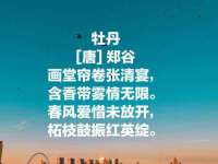 海口事玛广告有限公司