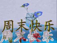 海口事玛广告有限公司
