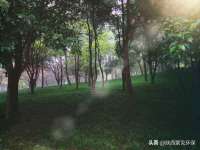 海口事玛广告有限公司