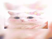 海口事玛广告有限公司