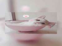 海口事玛广告有限公司
