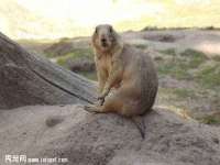 海口事玛广告有限公司