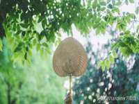 海口事玛广告有限公司