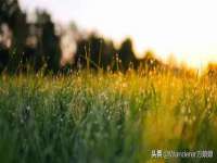 海口事玛广告有限公司
